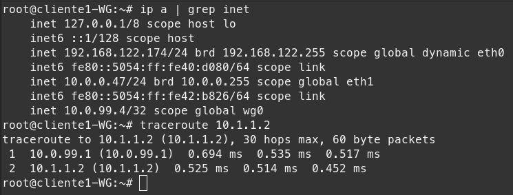 Prueba de conexion VPN desde Linux